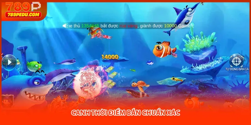 Canh thời điểm bắn chuẩn xác