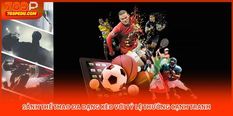 Sảnh thể thao 789P đa dạng kèo với tỷ lệ thưởng cạnh tranh