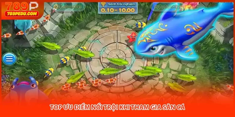 Top ưu điểm nổi trội khi tham gia săn cá